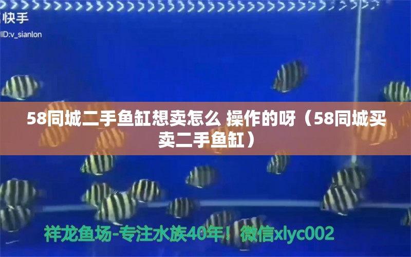 58同城二手魚(yú)缸想賣怎么 操作的呀（58同城買賣二手魚(yú)缸） 紅尾平克魚(yú)