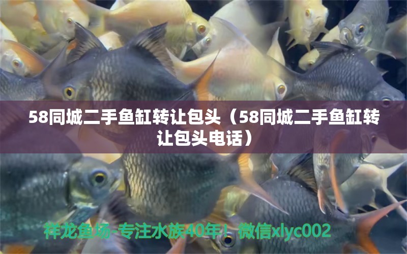 58同城二手魚缸轉(zhuǎn)讓包頭（58同城二手魚缸轉(zhuǎn)讓包頭電話）