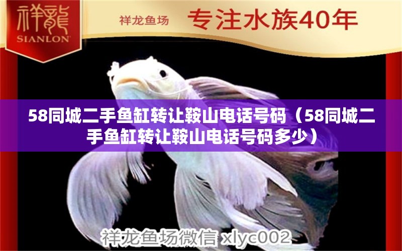 58同城二手魚(yú)缸轉(zhuǎn)讓鞍山電話號(hào)碼（58同城二手魚(yú)缸轉(zhuǎn)讓鞍山電話號(hào)碼多少） 帝王迷宮