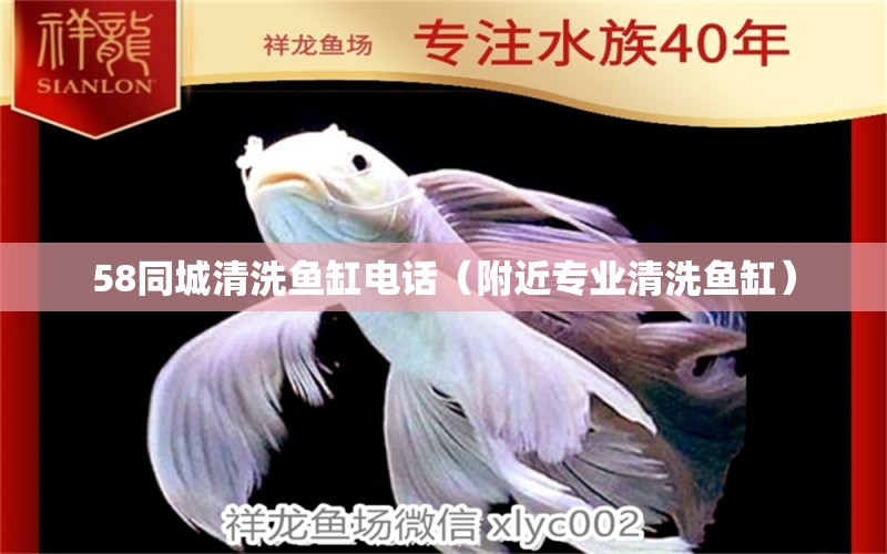 58同城清洗魚缸電話（附近專業(yè)清洗魚缸）