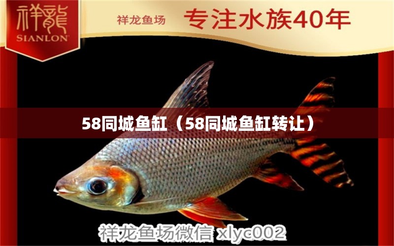 58同城魚缸（58同城魚缸轉(zhuǎn)讓）