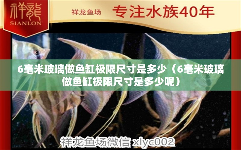 6毫米玻璃做魚缸極限尺寸是多少（6毫米玻璃做魚缸極限尺寸是多少呢） 魚缸百科