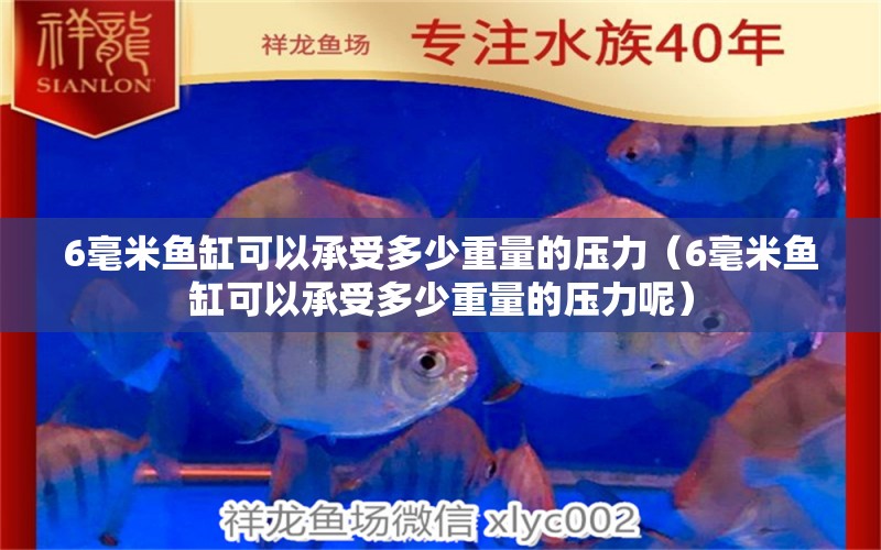 6毫米魚缸可以承受多少重量的壓力（6毫米魚缸可以承受多少重量的壓力呢） 魚缸百科