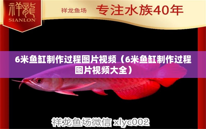 6米魚缸制作過程圖片視頻（6米魚缸制作過程圖片視頻大全）