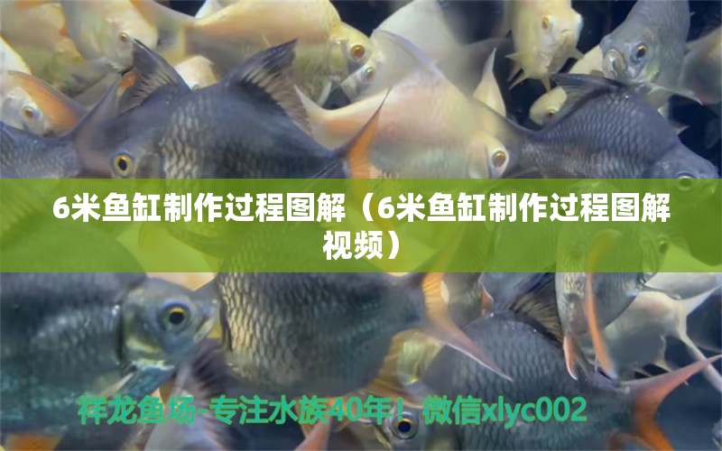 6米魚缸制作過程圖解（6米魚缸制作過程圖解視頻）