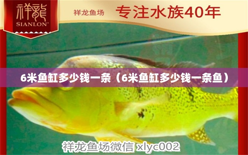 6米魚缸多少錢一條（6米魚缸多少錢一條魚）