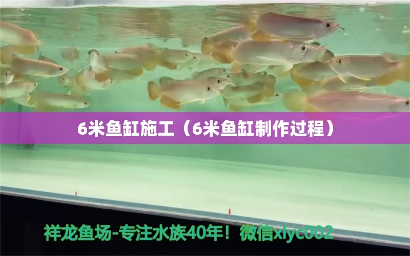 6米魚缸施工（6米魚缸制作過程）