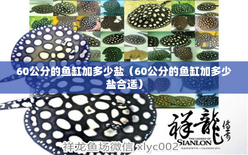 60公分的魚缸加多少鹽（60公分的魚缸加多少鹽合適） 其他品牌魚缸