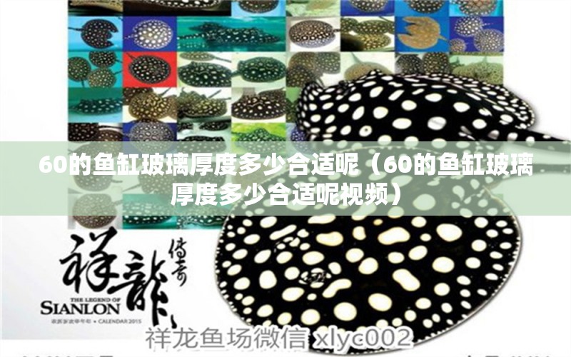 60的魚缸玻璃厚度多少合適呢（60的魚缸玻璃厚度多少合適呢視頻）