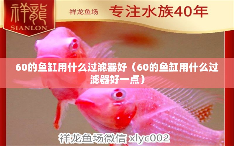 60的魚缸用什么過濾器好（60的魚缸用什么過濾器好一點(diǎn)）