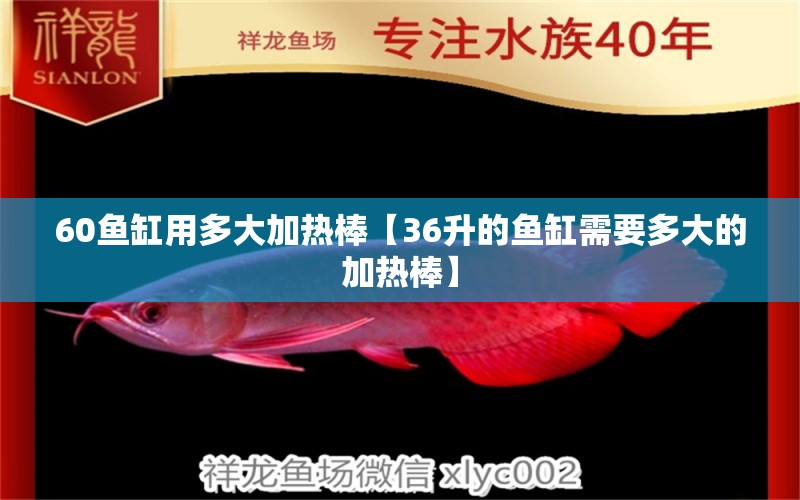 60魚缸用多大加熱棒【36升的魚缸需要多大的加熱棒】