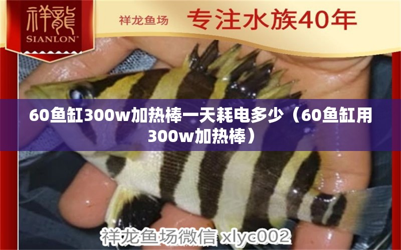 60魚缸300w加熱棒一天耗電多少（60魚缸用300w加熱棒）