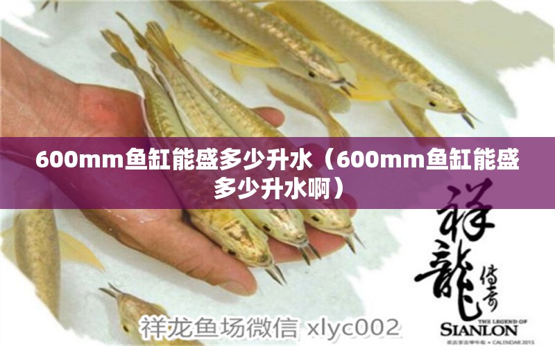 600mm魚缸能盛多少升水（600mm魚缸能盛多少升水?。? title=