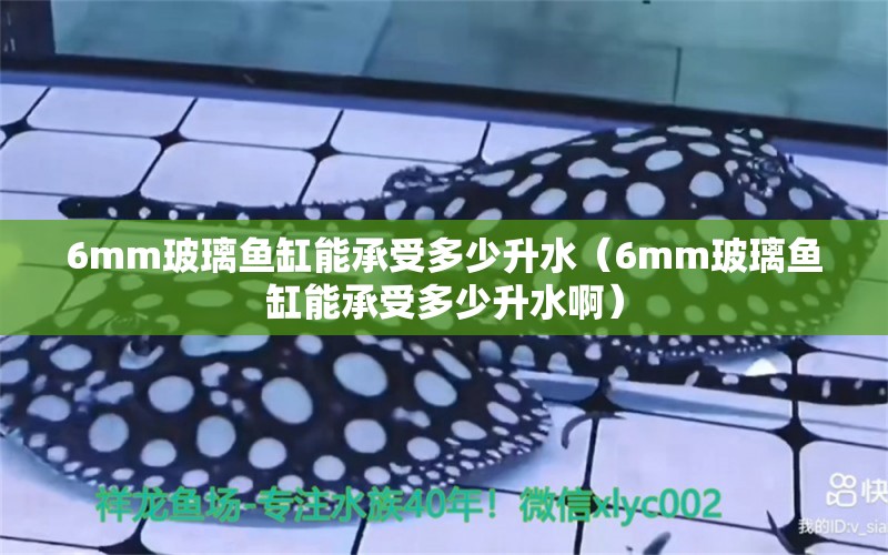 6mm玻璃魚缸能承受多少升水（6mm玻璃魚缸能承受多少升水?。? title=