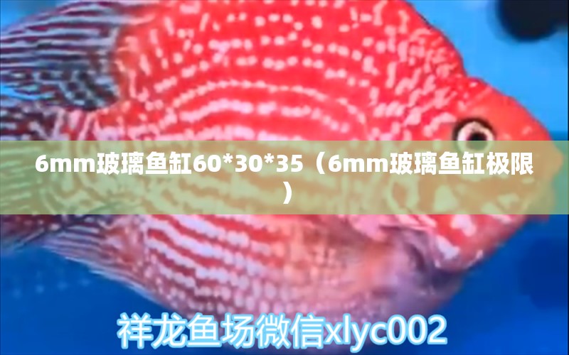 6mm玻璃魚缸60*30*35（6mm玻璃魚缸極限）