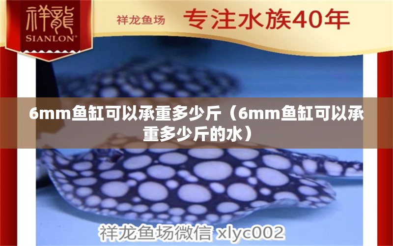 6mm魚缸可以承重多少斤（6mm魚缸可以承重多少斤的水） 魚缸百科