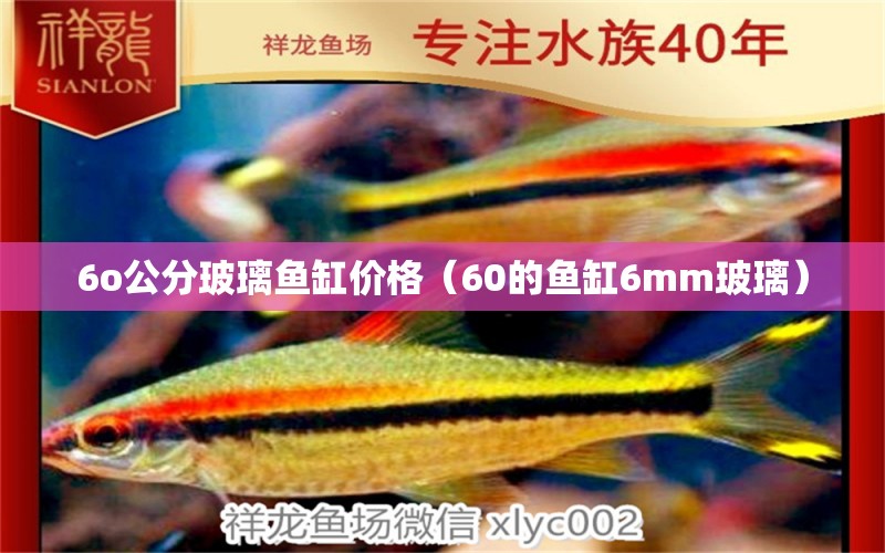 6o公分玻璃魚缸價(jià)格（60的魚缸6mm玻璃）