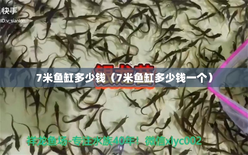 7米魚(yú)缸多少錢(qián)（7米魚(yú)缸多少錢(qián)一個(gè)）