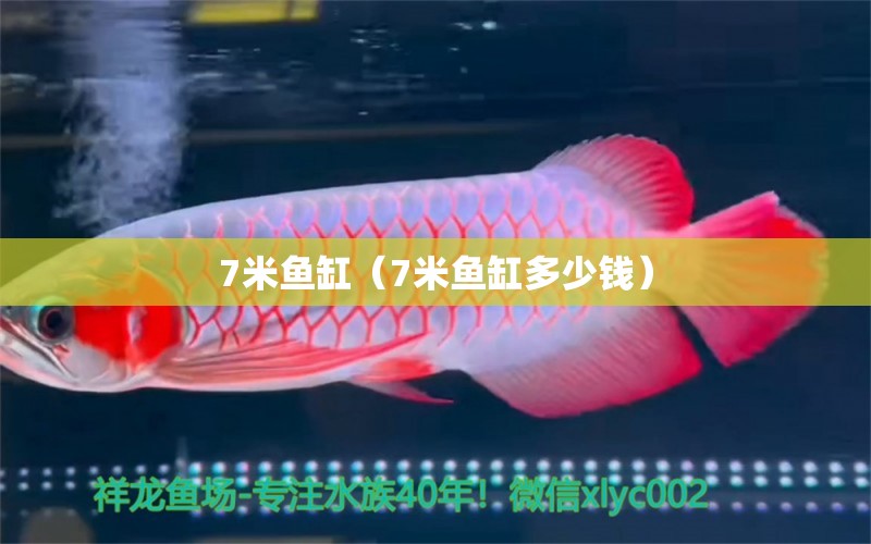 7米魚缸（7米魚缸多少錢） 魚缸百科