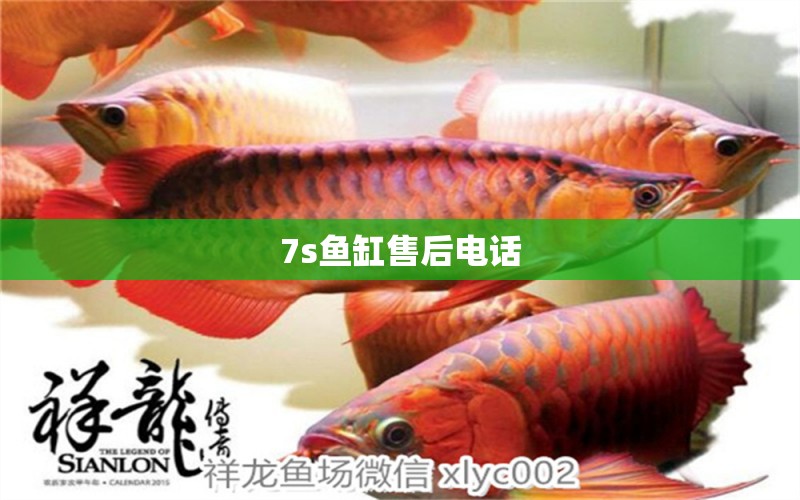 7s魚缸售后電話 其他品牌魚缸