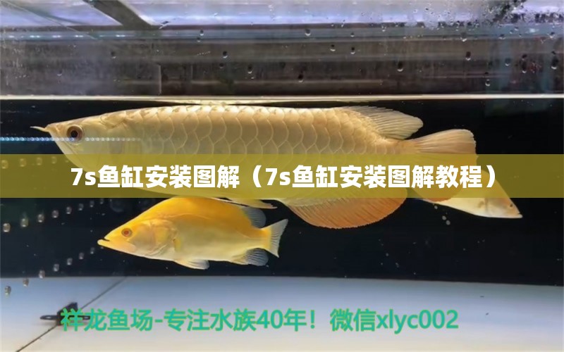 7s魚缸安裝圖解（7s魚缸安裝圖解教程） 其他品牌魚缸