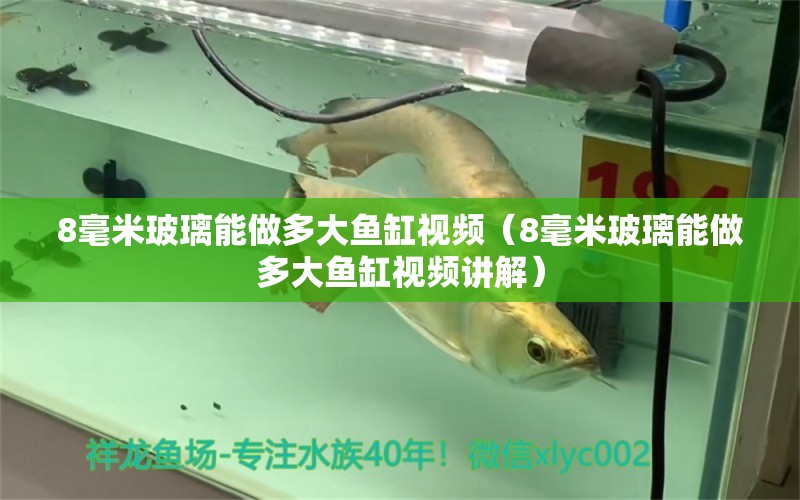 8毫米玻璃能做多大魚(yú)缸視頻（8毫米玻璃能做多大魚(yú)缸視頻講解）