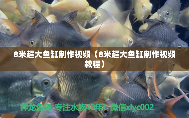 8米超大魚缸制作視頻（8米超大魚缸制作視頻教程） 魚缸百科