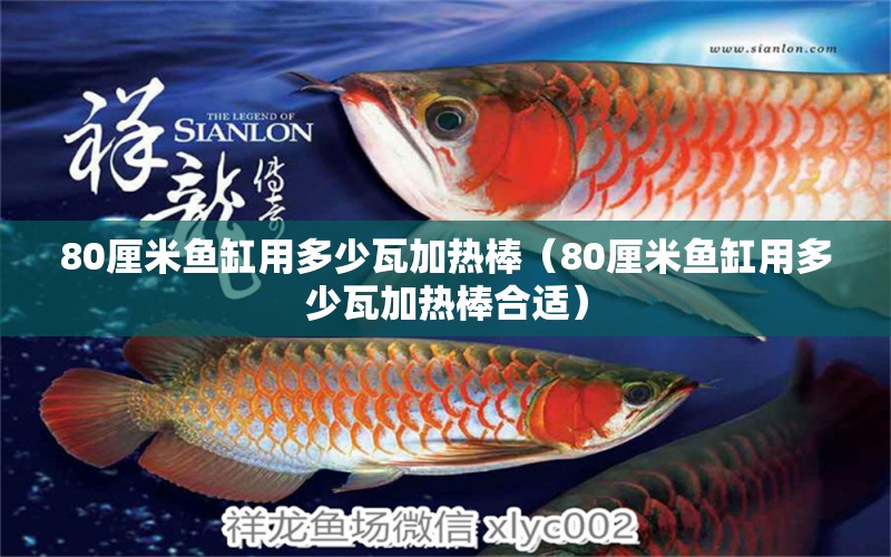 80厘米魚缸用多少瓦加熱棒（80厘米魚缸用多少瓦加熱棒合適）