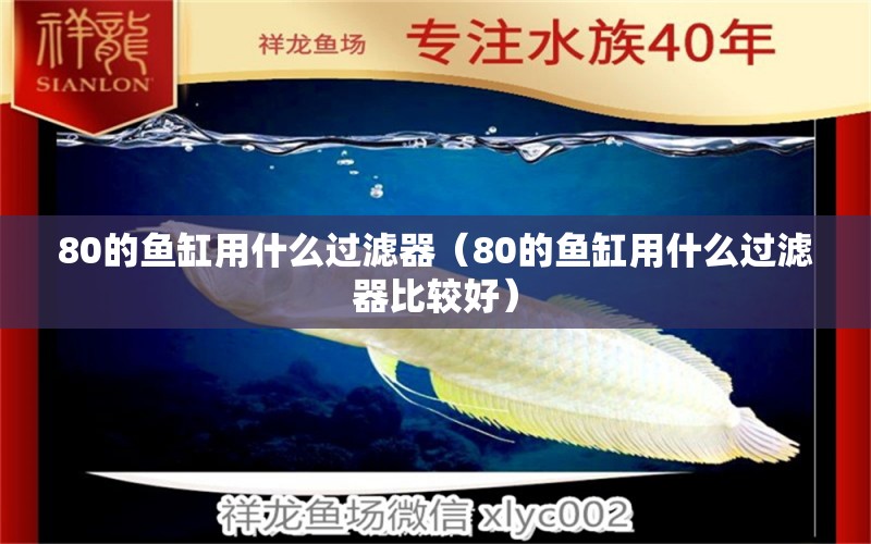 80的魚缸用什么過濾器（80的魚缸用什么過濾器比較好）