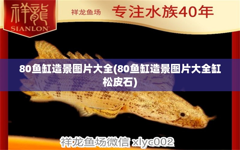 80魚缸造景圖片大全(80魚缸造景圖片大全缸松皮石)