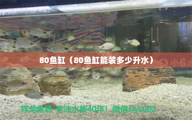 80魚缸（80魚缸能裝多少升水）