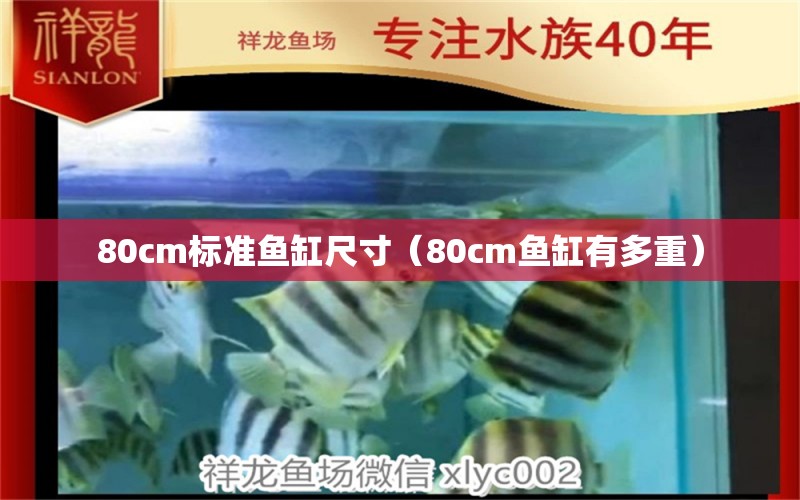 80cm標準魚缸尺寸（80cm魚缸有多重） 白條過背金龍魚