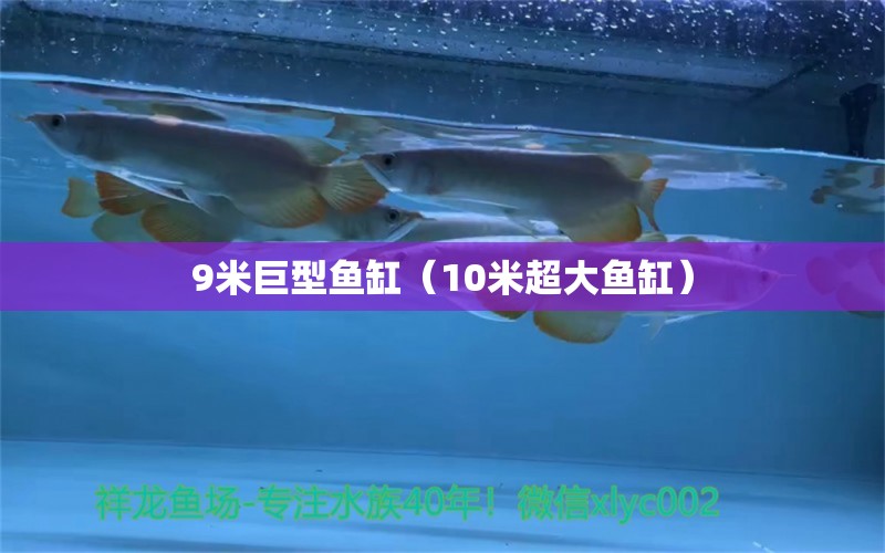 9米巨型魚缸（10米超大魚缸）