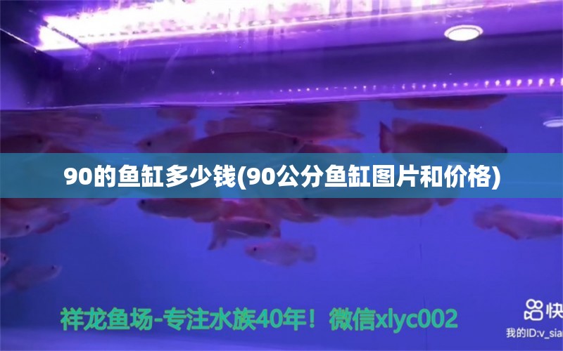 90的魚缸多少錢(90公分魚缸圖片和價格) 龍魚專用燈