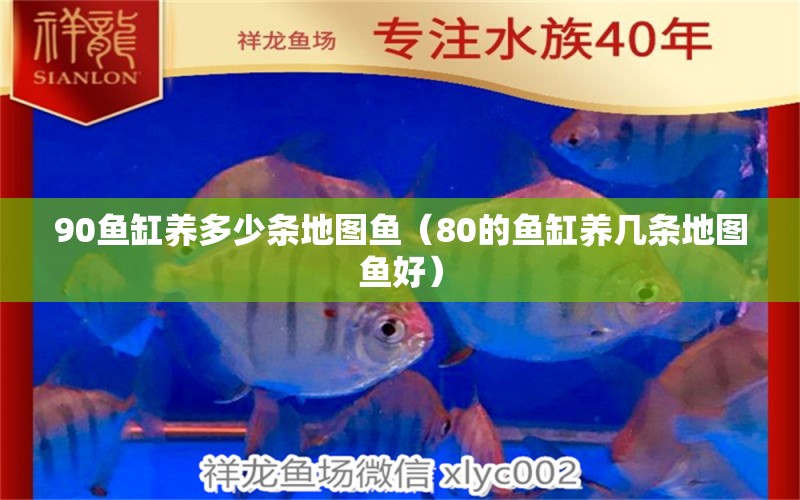 90魚(yú)缸養(yǎng)多少條地圖魚(yú)（80的魚(yú)缸養(yǎng)幾條地圖魚(yú)好）