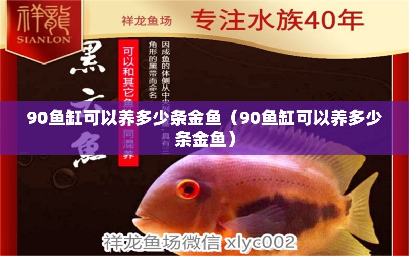 90魚缸可以養(yǎng)多少條金魚（90魚缸可以養(yǎng)多少條金魚） 檸檬鯽