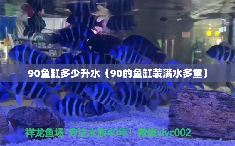 90魚缸多少升水（90的魚缸裝滿水多重）