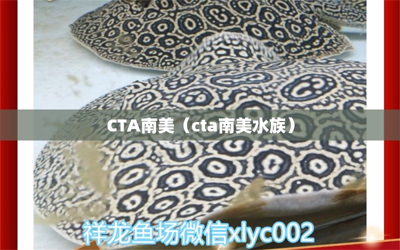 CTA南美（cta南美水族）