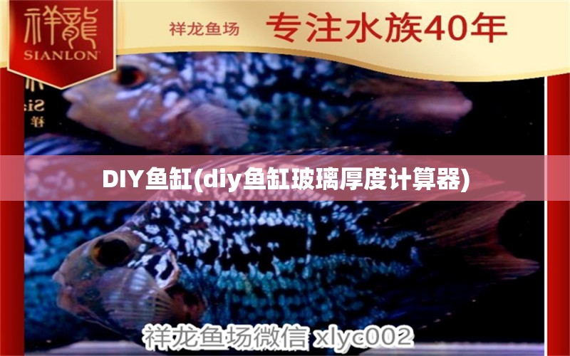 DIY魚缸(diy魚缸玻璃厚度計算器) 網(wǎng)上購買觀賞魚