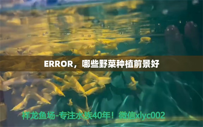 ERROR，哪些野菜種植前景好