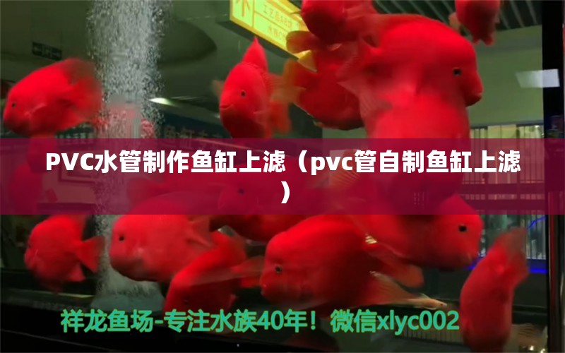 PVC水管制作魚缸上濾（pvc管自制魚缸上濾）