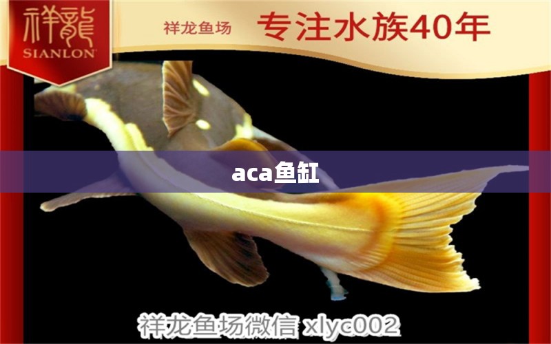 aca魚缸