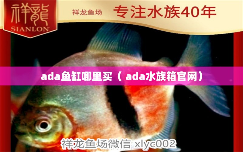 ada魚缸哪里買（ ada水族箱官網(wǎng)） 南美異型魚 第1張