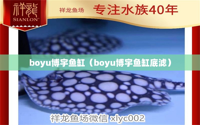 boyu博宇魚缸（boyu博宇魚缸底濾）