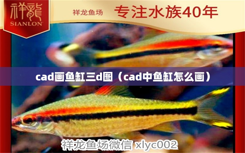 cad畫魚缸三d圖（cad中魚缸怎么畫）