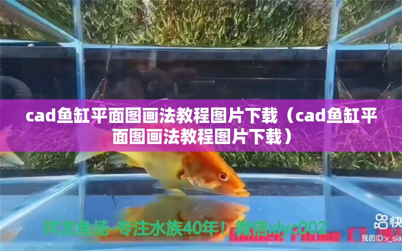 cad魚缸平面圖畫法教程圖片下載（cad魚缸平面圖畫法教程圖片下載）