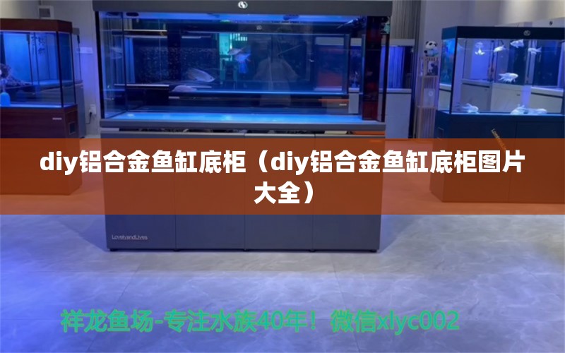 diy鋁合金魚缸底柜（diy鋁合金魚缸底柜圖片大全）