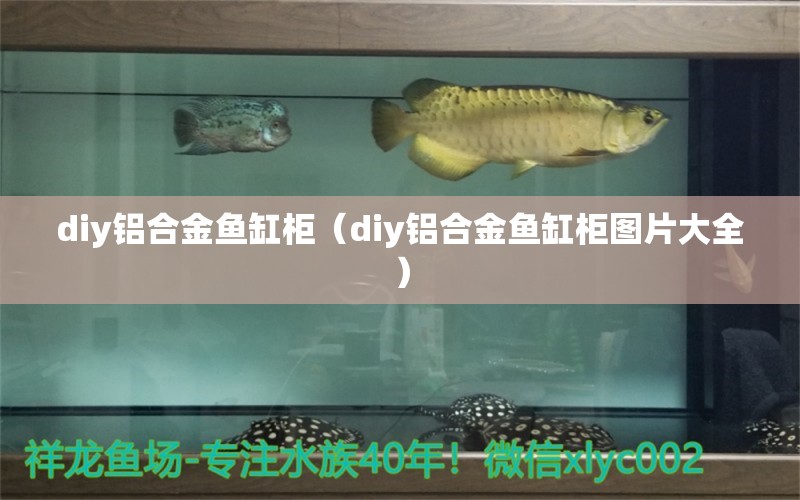 diy鋁合金魚缸柜（diy鋁合金魚缸柜圖片大全） 其他品牌魚缸