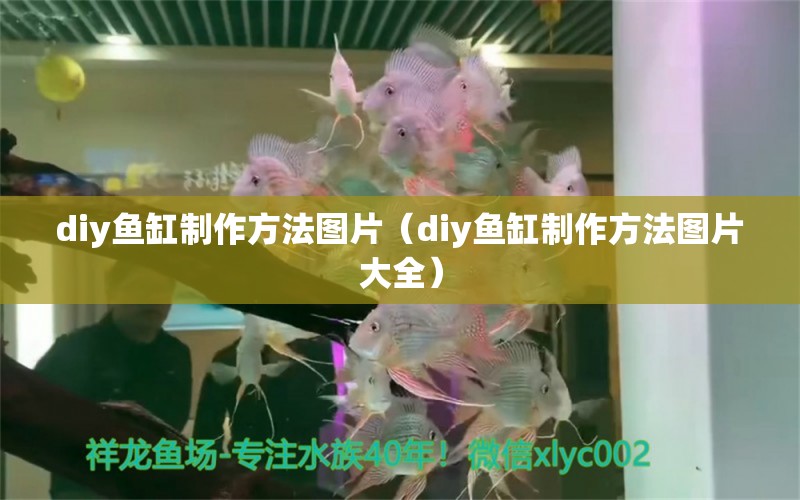 diy魚缸制作方法圖片（diy魚缸制作方法圖片大全）