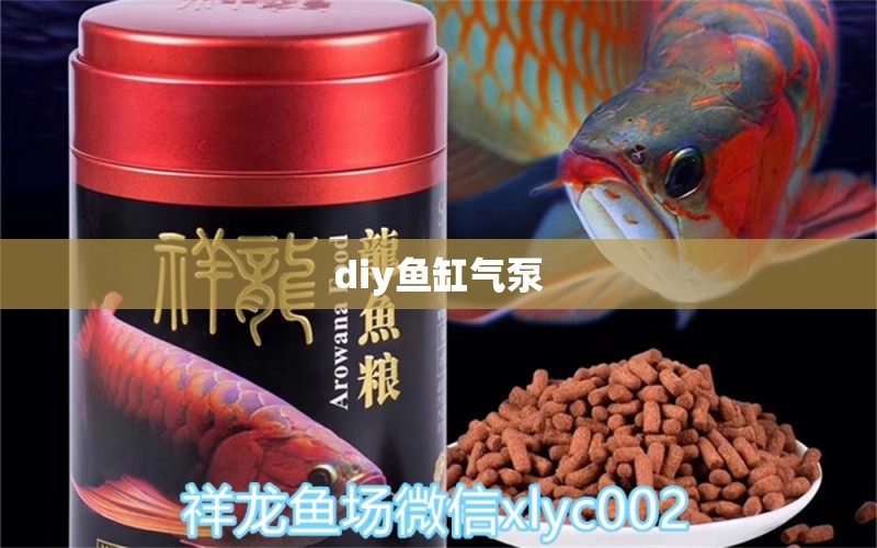 diy魚缸氣泵